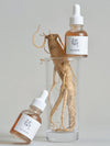 Sérum Régénérant Ginseng + Mucine d'Escargot - Beauty Of Joseon